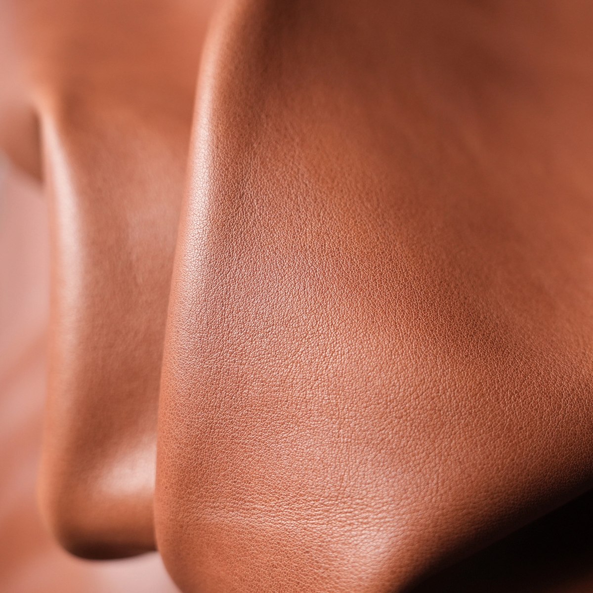 Close view of warm-toned leather